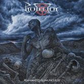 Protector - Reanimated Homunculus (Nacional)